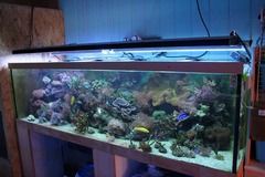 Killikus&reg; Fotographie